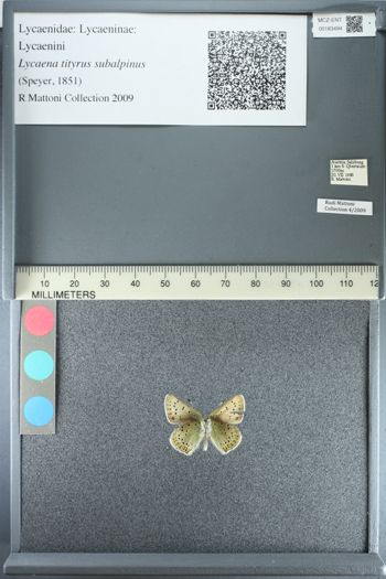 Media type: image;   Entomology 183494